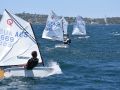 2020 12 06 NSW Opti Champs 0067